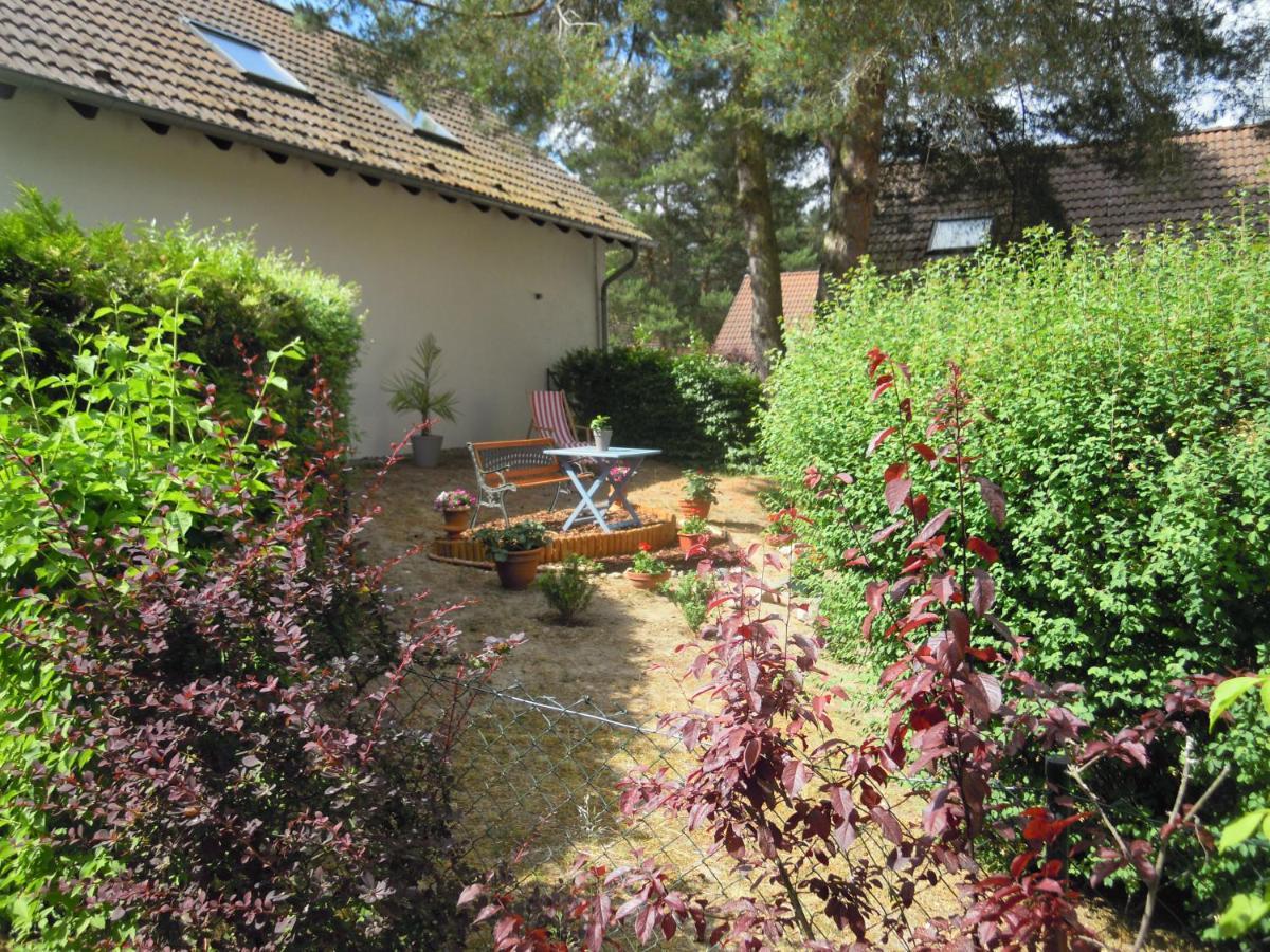 Lenzer Parkblick Am Plauer See Extérieur photo