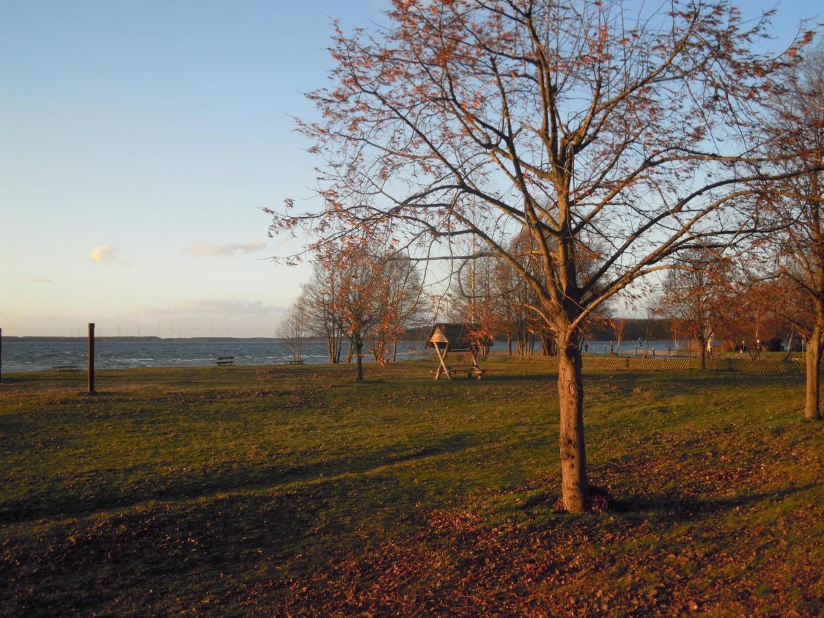 Lenzer Parkblick Am Plauer See Extérieur photo
