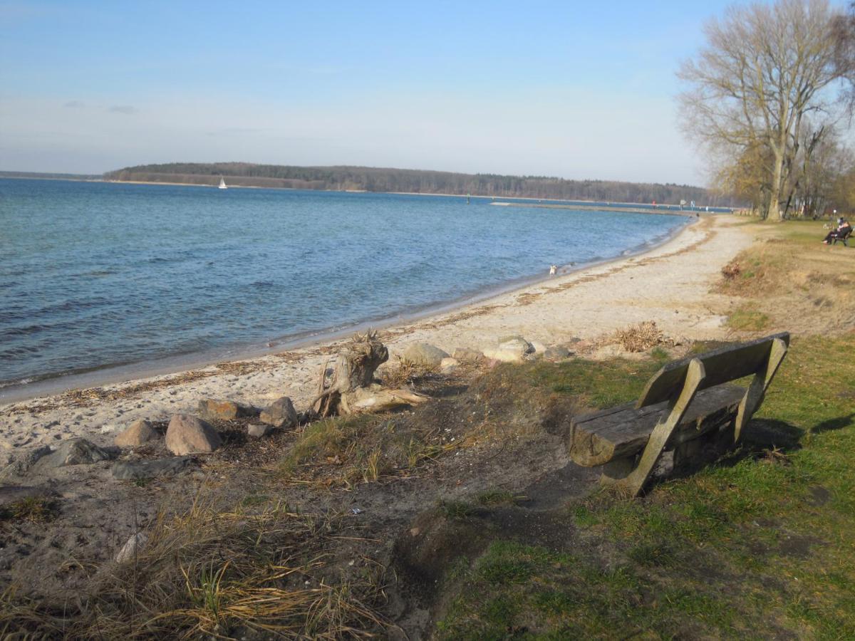 Lenzer Parkblick Am Plauer See Extérieur photo
